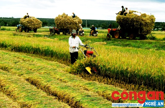 Dấu ấn dân vận khéo trong phát triển nông nghiệp