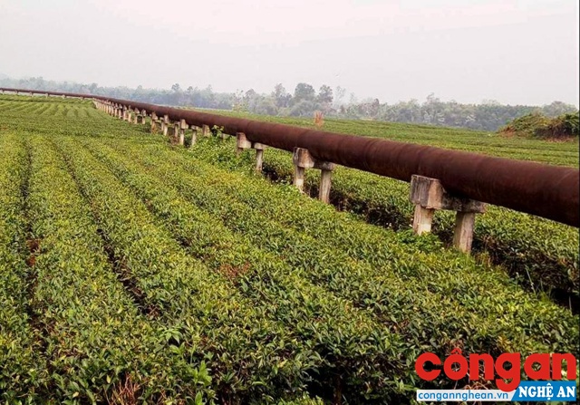 Công trình tiền tỉ 'đắp chiếu' hơn thập kỷ