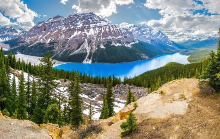 Hồ Peyto Lake, Canada: Hãy chiêm ngưỡng những màu sắc tương phản tuyệt vời này. Người Canada thật may mắn khi có thể ghé thăm hồ bất cứ lúc nào họ muốn. (Nguồn: Brain Berries)