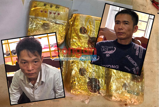 Hành trình bóc gỡ 2 đường dây ma túy xuyên quốc gia trong một đêm