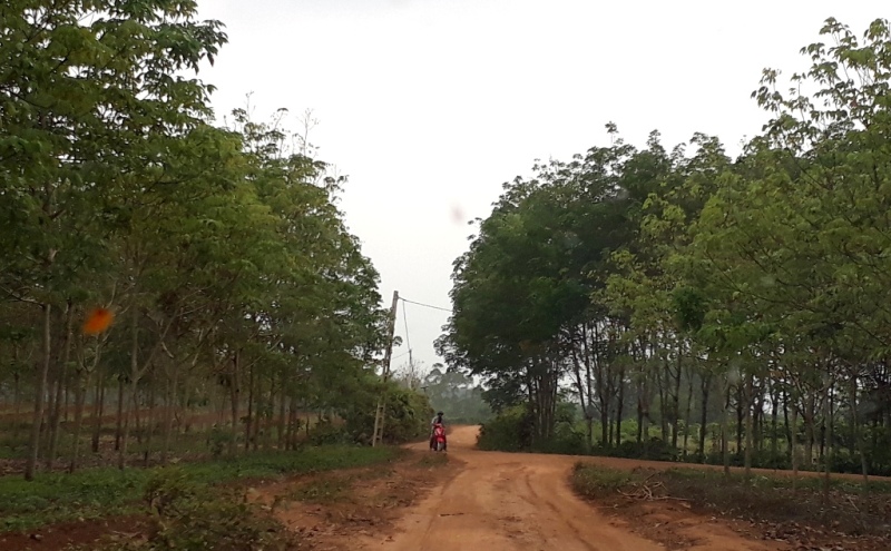 Để khai thác trái phép, tại mỏ đất ở xóm 4 xã Nghĩa Tiến, luôn luôn có một nam thanh niên làm nhiệm vụ cảnh giới cách khoảng 100m trên đường vào mỏ, hễ thấy người lạ vào là chặn xe lại để hỏi han, xin số điện thoại để “quan hệ”.