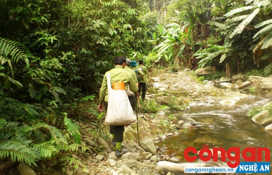 Công tác bảo vệ rừng: Nhiều chuyển biến tích cực