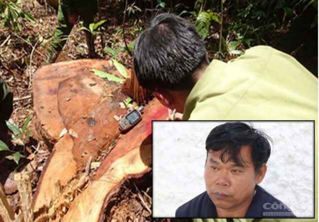 'Trùm' lâm tặc người Nghệ hầu tòa