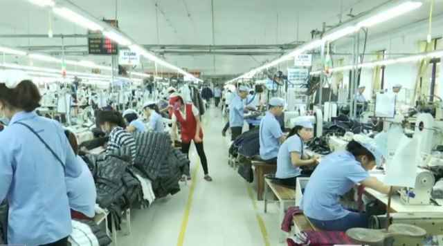 Hàng trăm cử nhân tương lai bức xúc vì 'thực tập làm công nhân'