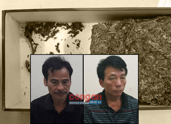 Bắt vận chuyển gỗ lậu, phát hiện tàng trữ ma túy