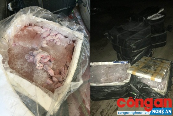 Bắt giữ xe tải vận chuyển hơn 400 kg nội tạng hôi thối