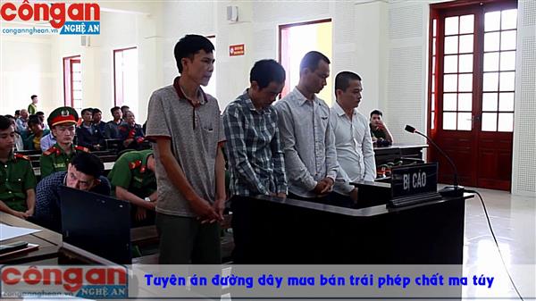 Tuyên án đường dây mua bán trái phép chất ma túy