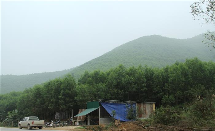 Chậm cấp bìa đất lâm nghiệp cho dân