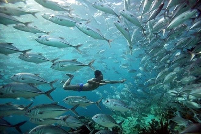 Qua nghiên cứu, các nhà khoa học bất ngờ phát hiện rất nhiều điểm thú vị về cuộc sống cũng như thể trạng của người dân tộc Bajau 