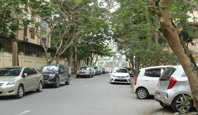 Đậu, đỗ xe bát nháo ở TP Vinh