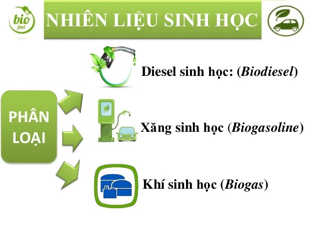 Xăng sinh học tại Việt Nam: Cũ người, mới ta