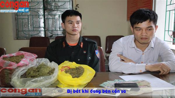 Bị bắt khi đang bán cần sa