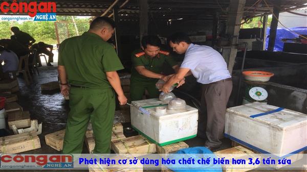 Bắt giữ cơ sở dùng hóa chất chế biến hơn 3,6 tấn sứa