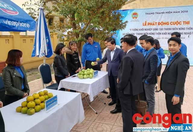 Tăng cường hỗ trợ khởi nghiệp đổi mới sáng tạo