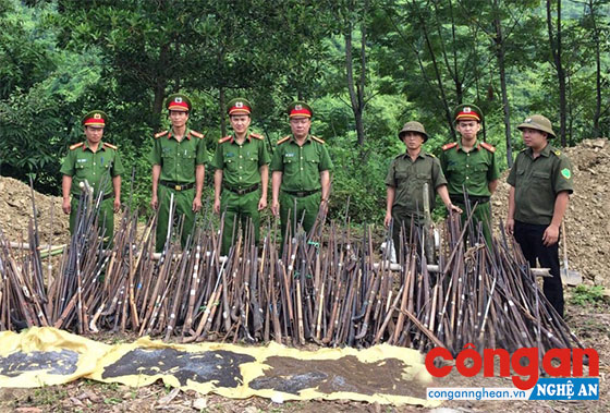 Phát hiện 87 vụ, 92 đối tượng phạm tội