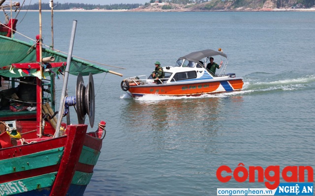 Xử lý 31 phương tiện vi phạm khi khai thác thủy sản trên biển