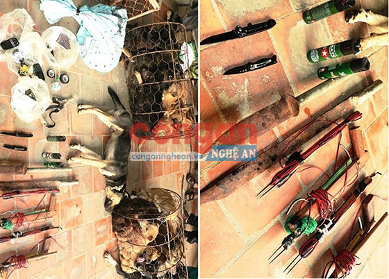  Tang vật và hung khí các đối tượng dùng để trộm chó