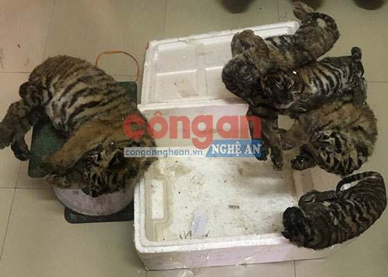 Các đối tượng và tang vật bị thu giữ