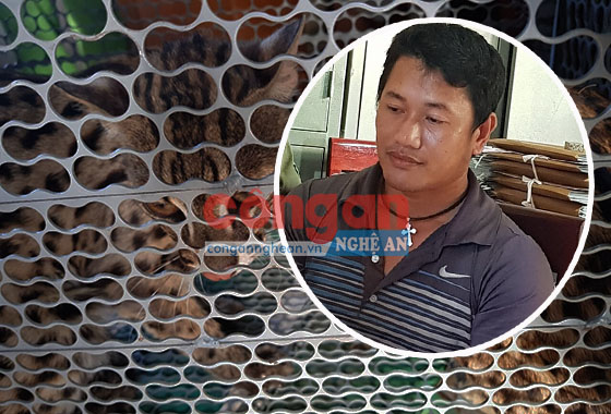 Bắt quả tang đối tượng bán động vật hoang dã qua facebook