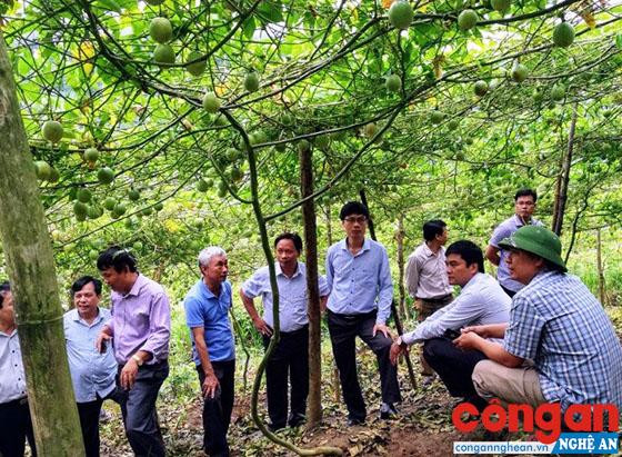Khoảng 64.100 tỉ đồng vốn đầu tư vào miền Tây Nghệ An