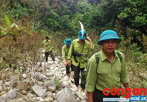 Quyết liệt hơn nữa trong công tác quản lý, bảo vệ rừng
