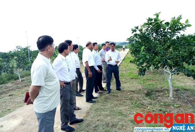 Đưa cán bộ trẻ về làm việc có thời hạn ở hợp tác xã nông nghiệp