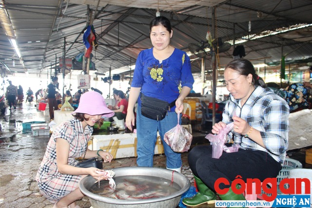 Cú hích trong xây dựng nông thôn mới