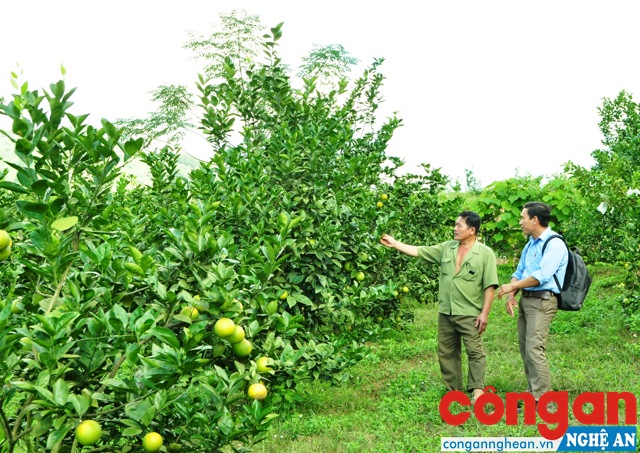 Tăng cường kiểm tra, giám sát chất lượng giống, vật tư nông nghiệp