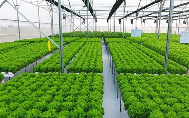 Bãi bỏ một loạt phí, lệ phí trong lĩnh vực nông nghiệp