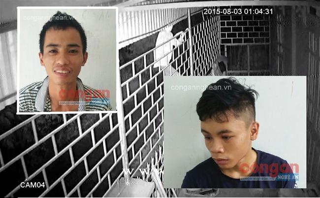 3 đối tượng gây ra 5 vụ trộm tài sản sa lưới