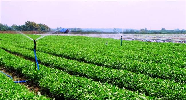 Các ứng dụng của công nghệ số sẽ hỗ trợ lập kế hoạch, tính toán chi phí, doanh thu theo mùa vụ. Ảnh: VGP/Đỗ Hương