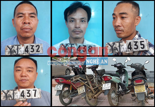 Bắt giữ 36 đối tượng đánh bạc dưới hình thức chọi gà
