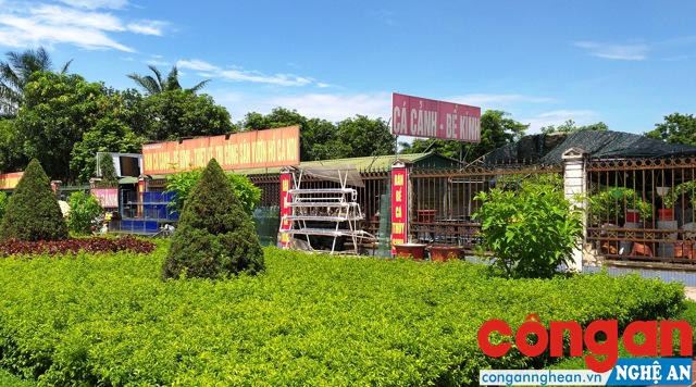 Địa điểm Ban quản lý Quảng trường cho thuê đất trái quy định (giáp mặt đường Trường Thi, phường Trường Thi, TP Vinh)