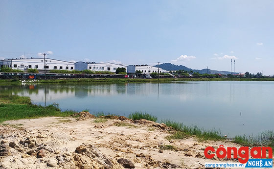 Dự án cải tạo hồ trồng sen trước Công ty Havina Kim Liên không phát huy hiệu quả do bị đào quá sâu, không có lớp bùn đáy