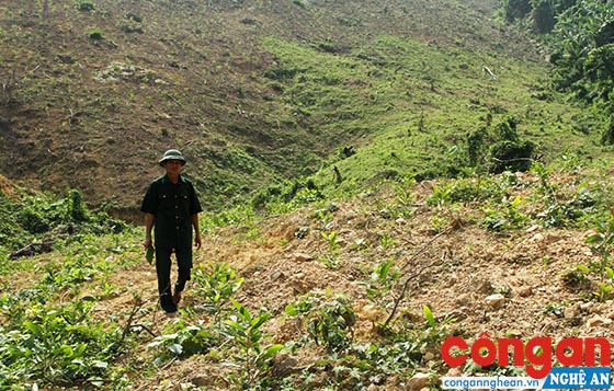 Ông Trần Văn Tý bất lực khi bị người khác xâm lấn, trồng cây trên phần đất đã được Nhà nước giao quản lý, sử dụng