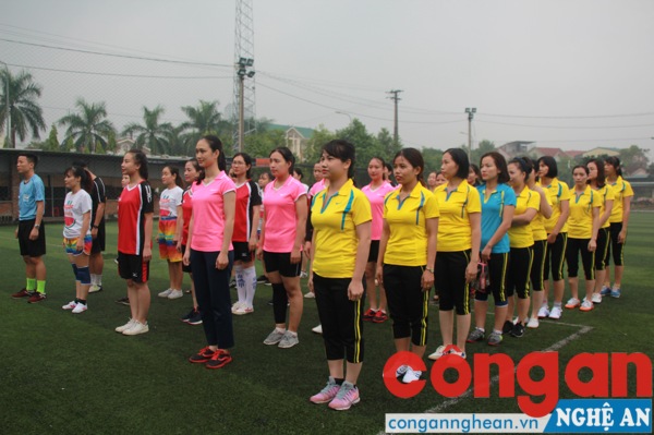 Các đội bóng tham gia