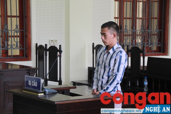 Lĩnh 20 năm tù về tội tàng trữ trái phép chất ma túy