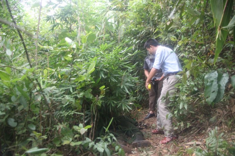 Triệt phá đường dây ma túy sử dụng vũ khí nóng