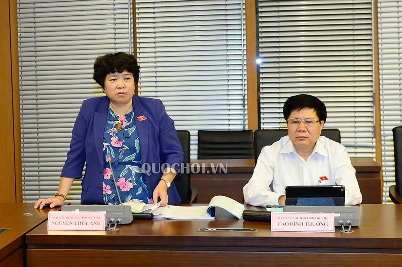 Đại biểu Nguyễn Thúy Anh cho rằng, khi có thêm một tổ chức đại diện cho người lao động sẽ thách thức lớn đối với hoạt động của các tổ chức công đoàn