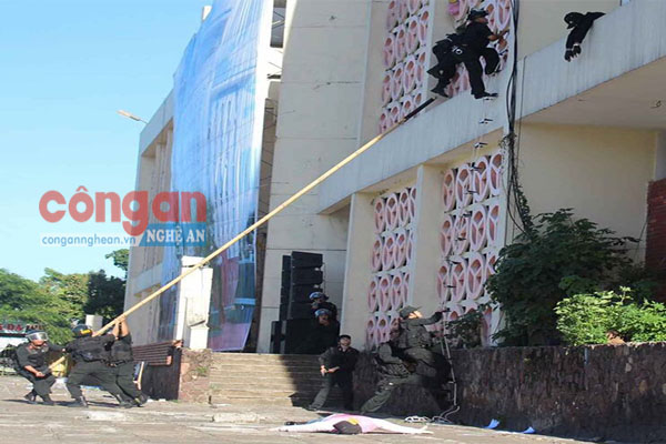 Lập công trên mọi trận tuyến