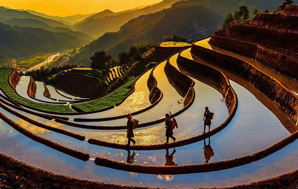 Tác phẩm 