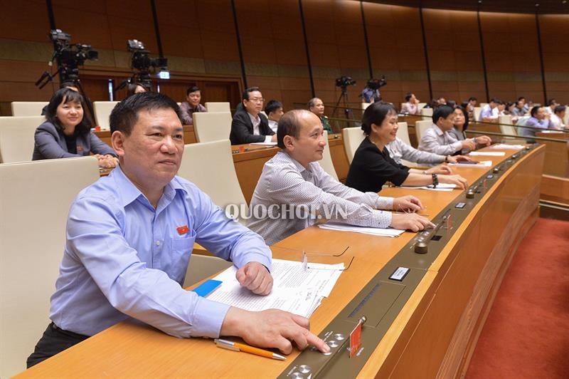Thông qua Nghị quyết phê chuẩn Hiệp định Đối tác Toàn diện và Tiến bộ xuyên Thái Bình Dương cùng các văn kiện liên quan