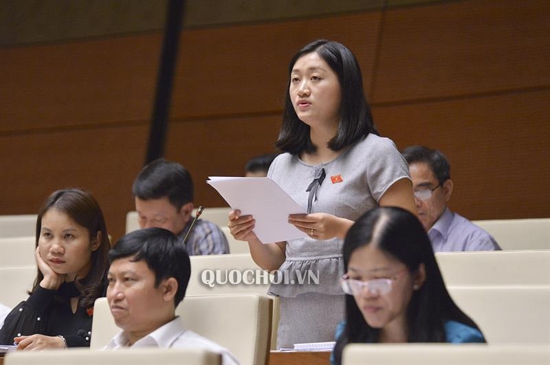 Đại biểu Quốc hội phát biểu tại phiên họp