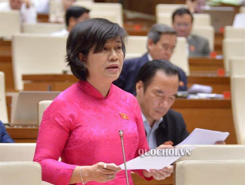 Đại biểu Nguyễn Thị Lệ Thủy đề nghị lần sửa đổi này cần rà soát, tính toán tính tương thích với các luật hiện hành