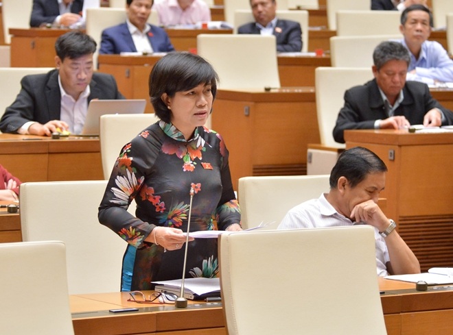 Các ĐBQH thảo luận tại phiên họp