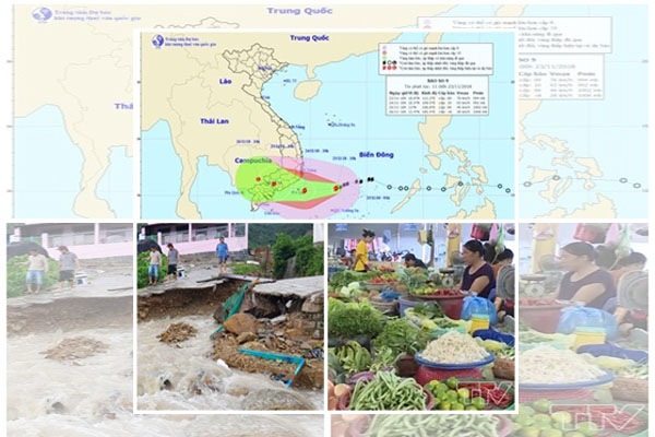 Chỉ đạo, điều hành của Chính phủ, Thủ tướng Chính phủ nổi bật tuần từ 19-23/11