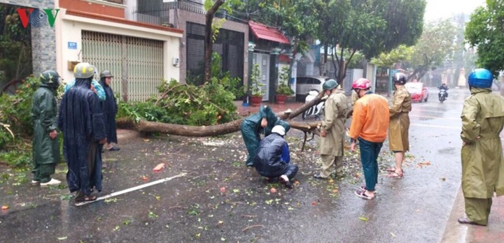 Bão số 9 đã tiến sâu vào TP Vũng Tàu .