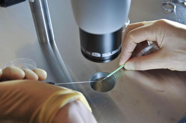 Chỉnh sửa gen có khả năng chống nhiễm HIV ở trẻ