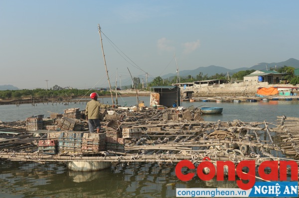 Để người dân yên tâm làm ăn, 