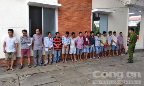 Đột kích trường gà ven kênh lúc sáng sớm